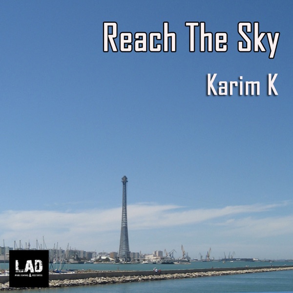 Reach the Sky - Single