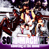 Shooting At the Moon