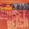 Vesuvius - The Sentinals lyrics