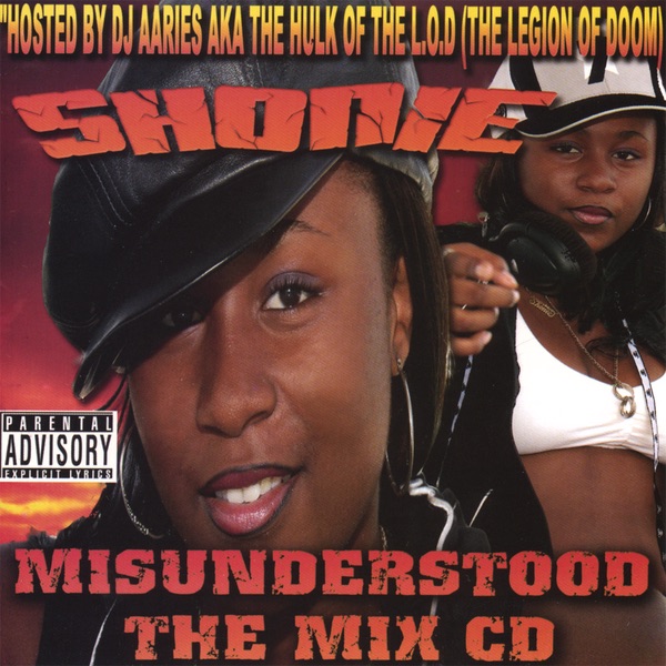 Misunderstood the Mix CD