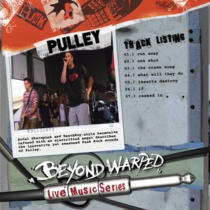 Live Music Series: Pulley