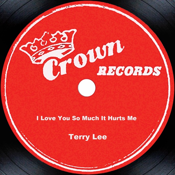 Обложка альбома «I Love You So Much It Hurts Me» — Terry Lee