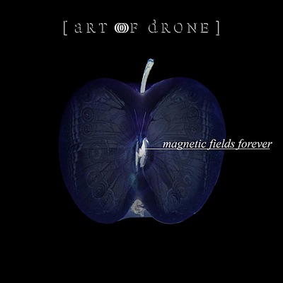 Magnetic Fields Forever