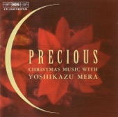 Precious - Christmas Music With Yoshikazu Mera