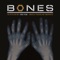 Bones Theme (Tocadisco Remix) artwork