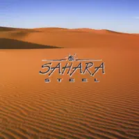 Push Comes to Shove — Sahara Steel