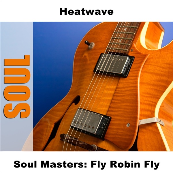 Soul Masters: Fly Robin Fly