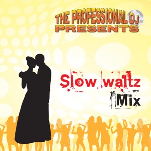 The Professional DJ - The Greatest Country Waltz Medley (feat. Bandit) (There Goes My Everything Crying Time Somewhere Between) - Line Dance Musique