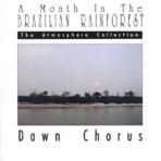 A Month In the Brazilian Rainforest: Dawn Chorus - EP