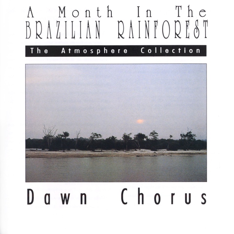 A Month In the Brazilian Rainforest: Dawn Chorus - EP