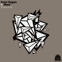 Shake That (feat. Maul) - Single - Evan Virgan