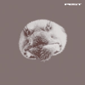 Jefferson Shuffle - Single