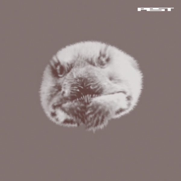Jefferson Shuffle - Single