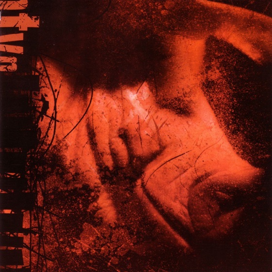 Cover artwork for Statement of Being Followed By Followers