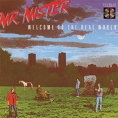 Mr. Mister - Broken Wings