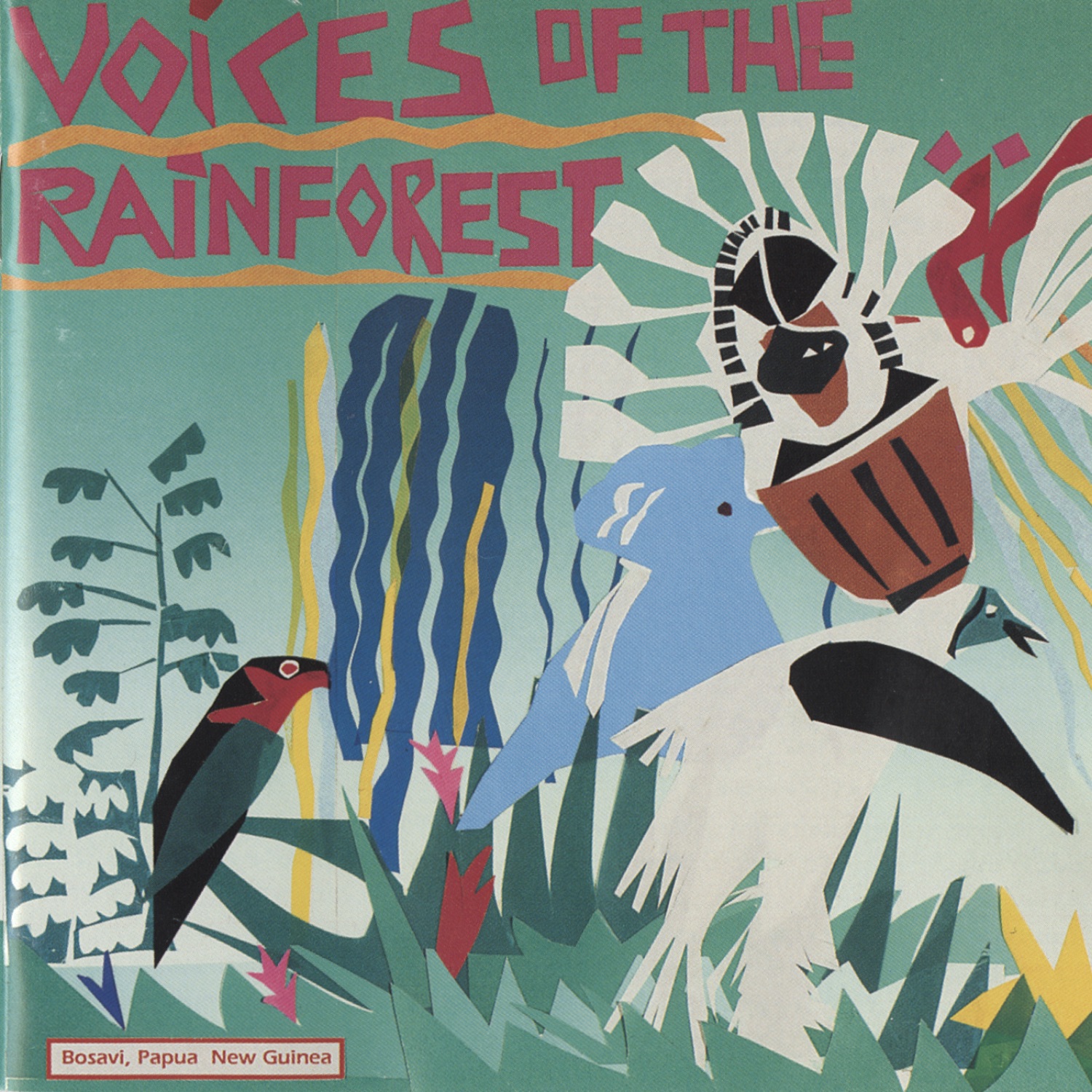 Voices of the Rainforest