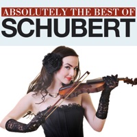 Absolutely The Best Of Schubert - Franz Schubert, Camerata St. Petersburg, Orchestra of the State Hermitage Museum, Saulius Sondeckis, Tbilisi Symphony Orchestra & Vakhtang Kakhidze