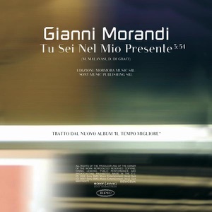 Tu Sei Nel Mio Presente - Single