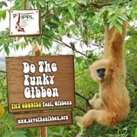 Funky Gibbon