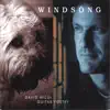 David Wildi Guitar Poetry - Gentle Blues