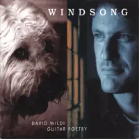 Gentle Blues — David Wildi Guitar Poetry