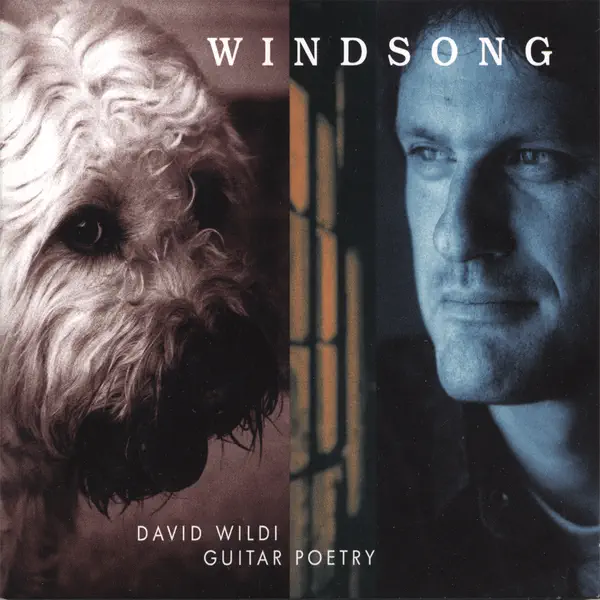 Gentle Blues — David Wildi Guitar Poetry