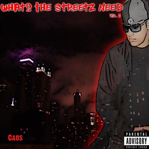 What the Streetz Need, Vol. 2