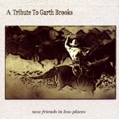 New Friends In Low Places: A Tribute to Garth Brooks artwork