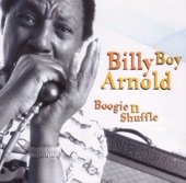 Billy Boy Arnold - Bad Luck Blues