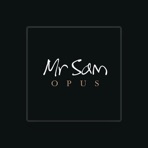 Mr Sam