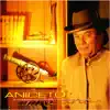 Aniceto Molina - Apartamento 3