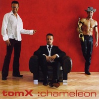 TomX:chameleon - TomX