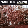 Soulful House Selection one