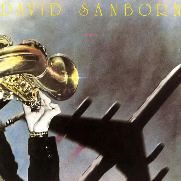 Duck Ankles — David Sanborn