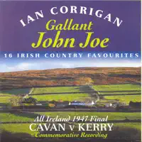 In The Spring The Roses Turn Red — Ian Corrigan