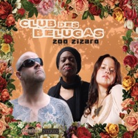 Club des Belugas - Wild Is My Love