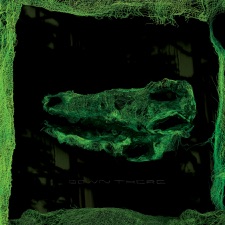 Avey Tare - Oliver Twist