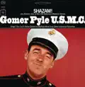 You Can't Roller Skate in a Buffalo Herd - Gomer Pyle U.S.M.C.
