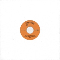 Little Barrie - Pin That Badge