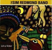 Sim Redmond Band - Good Dreams