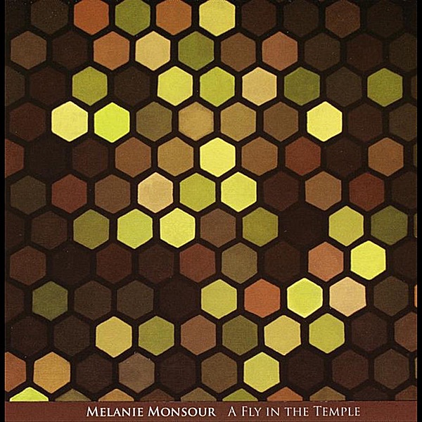 Обложка альбома «A Fly in the Temple» — Melanie Monsour