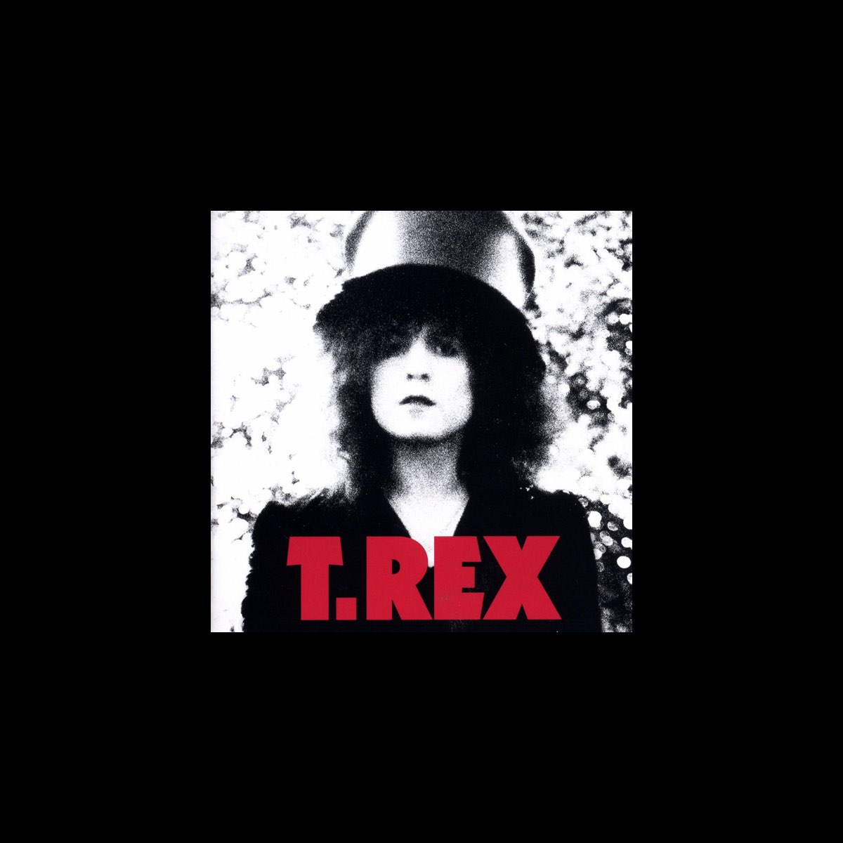 â žthe Slider Album By T Rex Apple Music