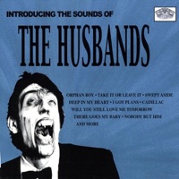 The Husbands - Orphan Boy