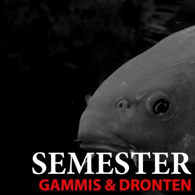 Semester - Single (1)