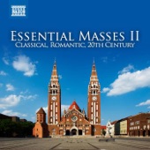 Mass in D Major, Op. 123, "Missa Solemnis": Gloria. Gloria in excelsis Deo artwork