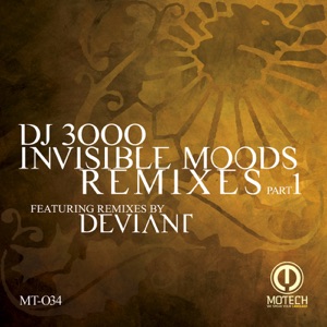 Invisible Moods Remixes - Part 1 - Single