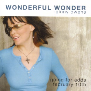 Wonderful Wonder (Single)
