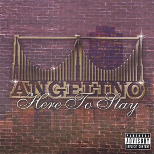 HERE to STAY