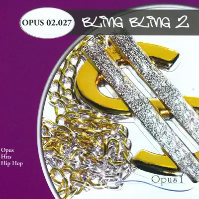 Posłuchaj utworu Bling Bling 2 wykonywanego przez Various Artists.