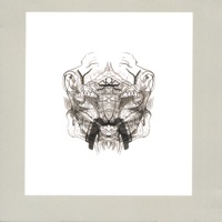 The Lesser Countenance